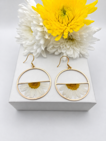 Real Daisy Gold Circle Earrings