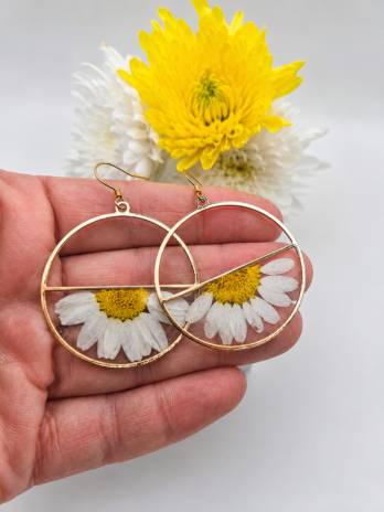 Real Daisy Gold Circle Earrings